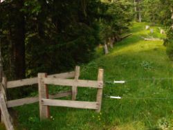 2013-07-20_Regina-F-Rau_Kochel-Rabenkopf (410).JPG